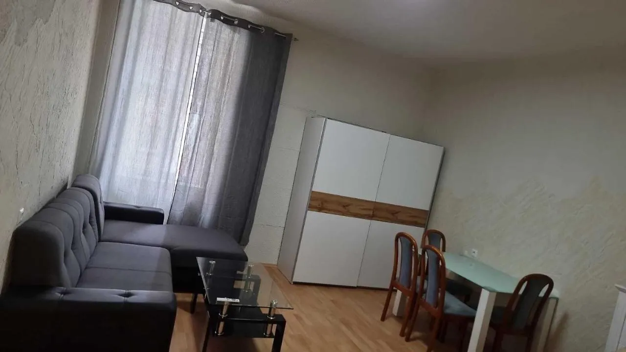 公寓 Premium Family Room Mz 维也纳